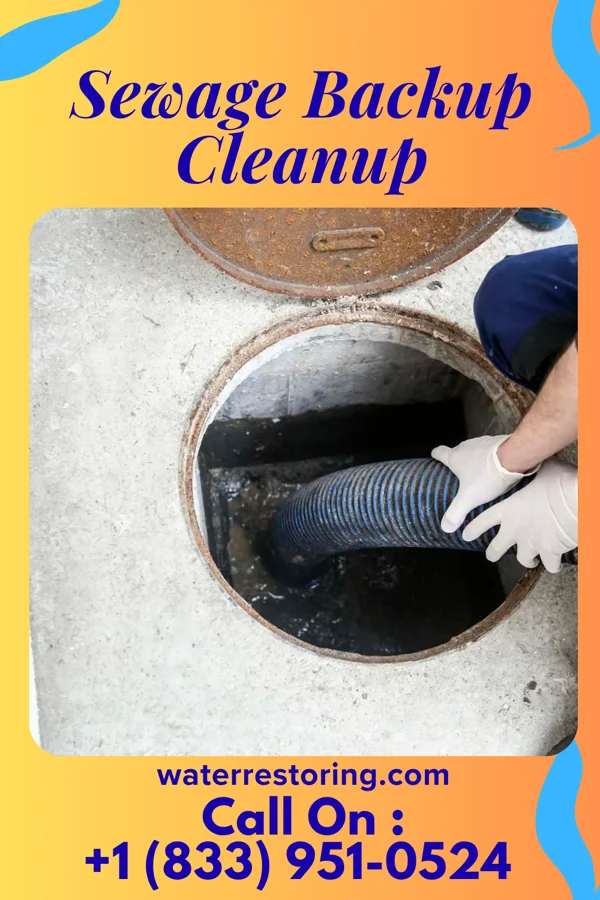 Sewage Backup Cleanup in Lake Delton, WI