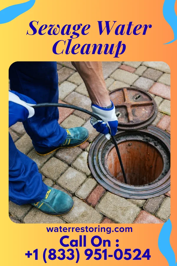 Sewage Water Cleanup in Lake Delton, WI
