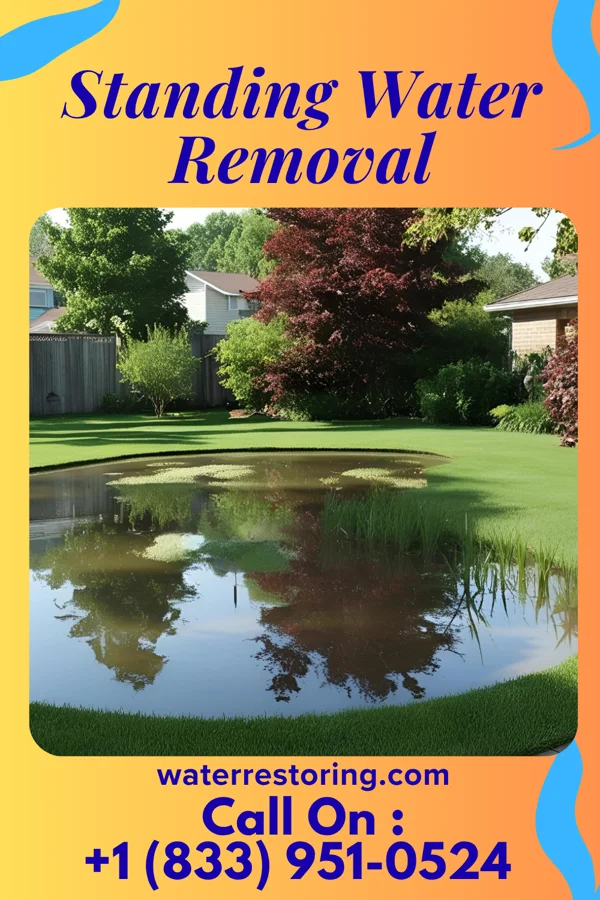 Standing Water Removal in Lake Delton, WI